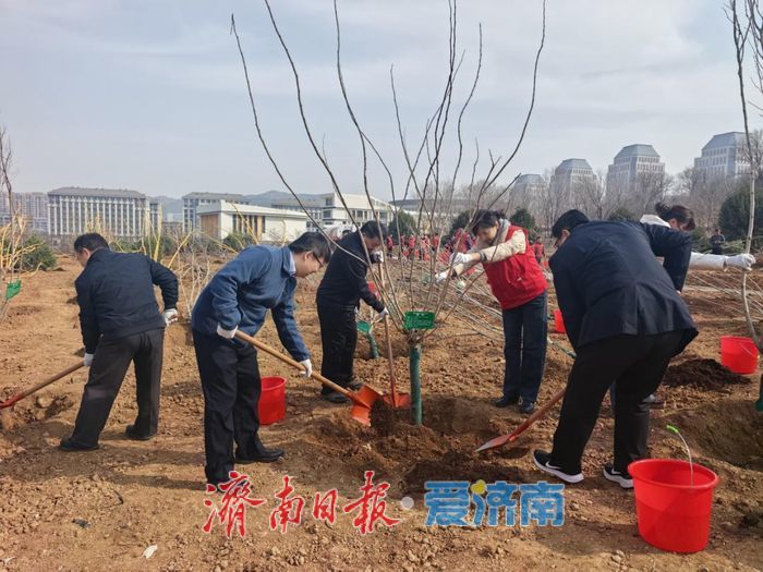 海右新论｜在济南这座城市，有一种幸福叫推窗见绿