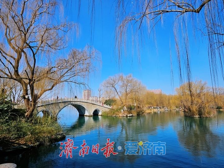 一年四季 泉在济南丨早春踏青正当时