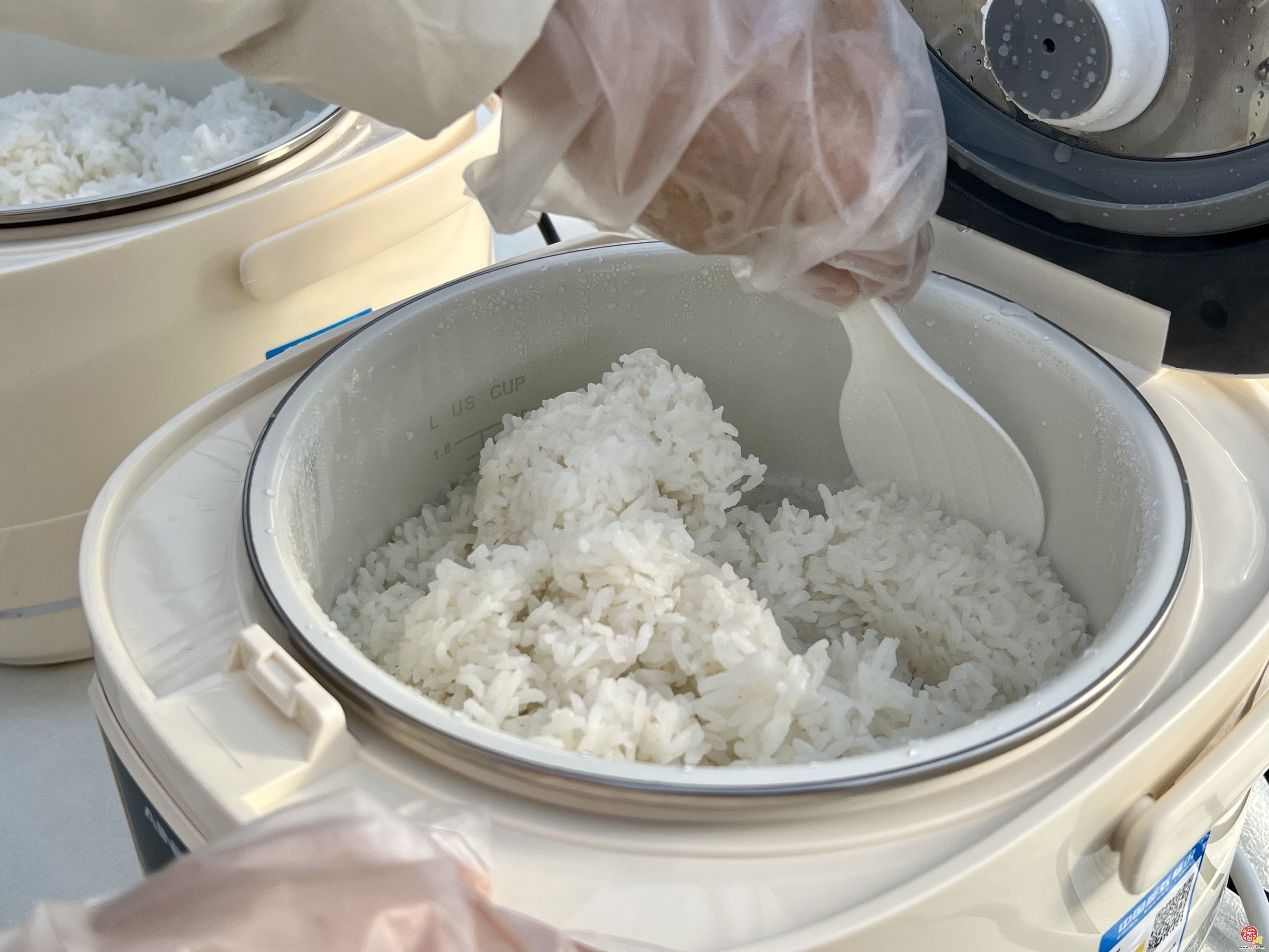 暖阳映稻香 品鉴促振兴  济南市黄河大米“垄上行”杯食味竞赛在槐荫区举办