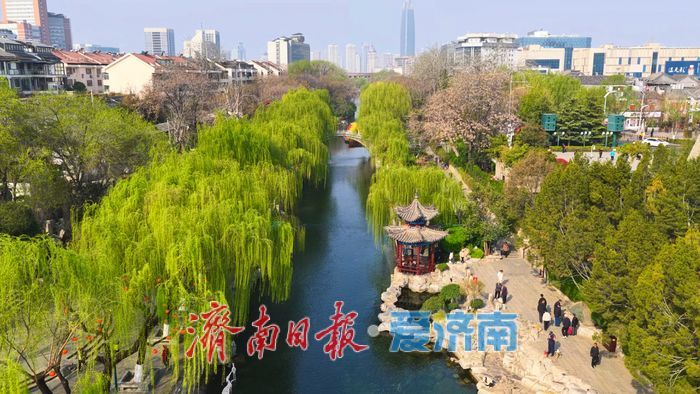 “泉城玉带”澄澈如练 护城河畔绿柳如烟