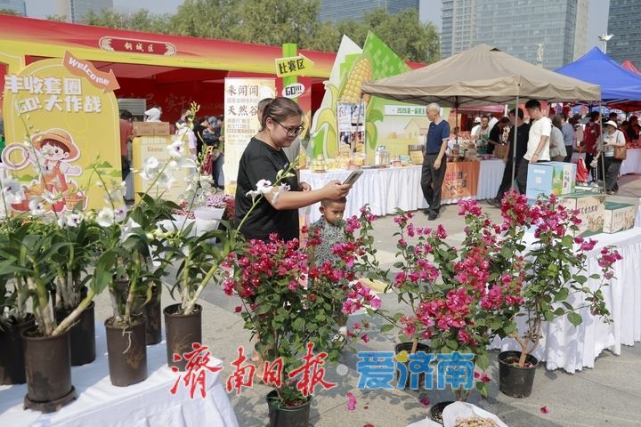 打卡农民丰收节 感受泉城好“丰”景