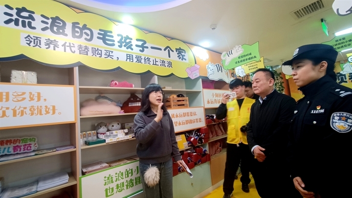 济南市首家宠物公益领养中心对外开放