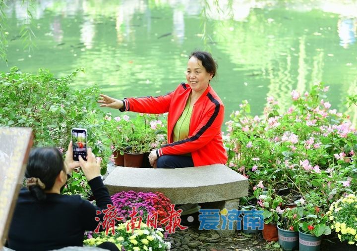 无忧泉边菊初绽，一城秋色待君来