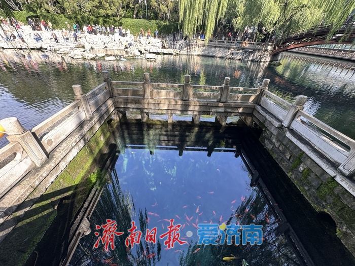 一年四季 泉在济南丨黑虎泉水位创新高 玛瑙泉瀑布惹人醉