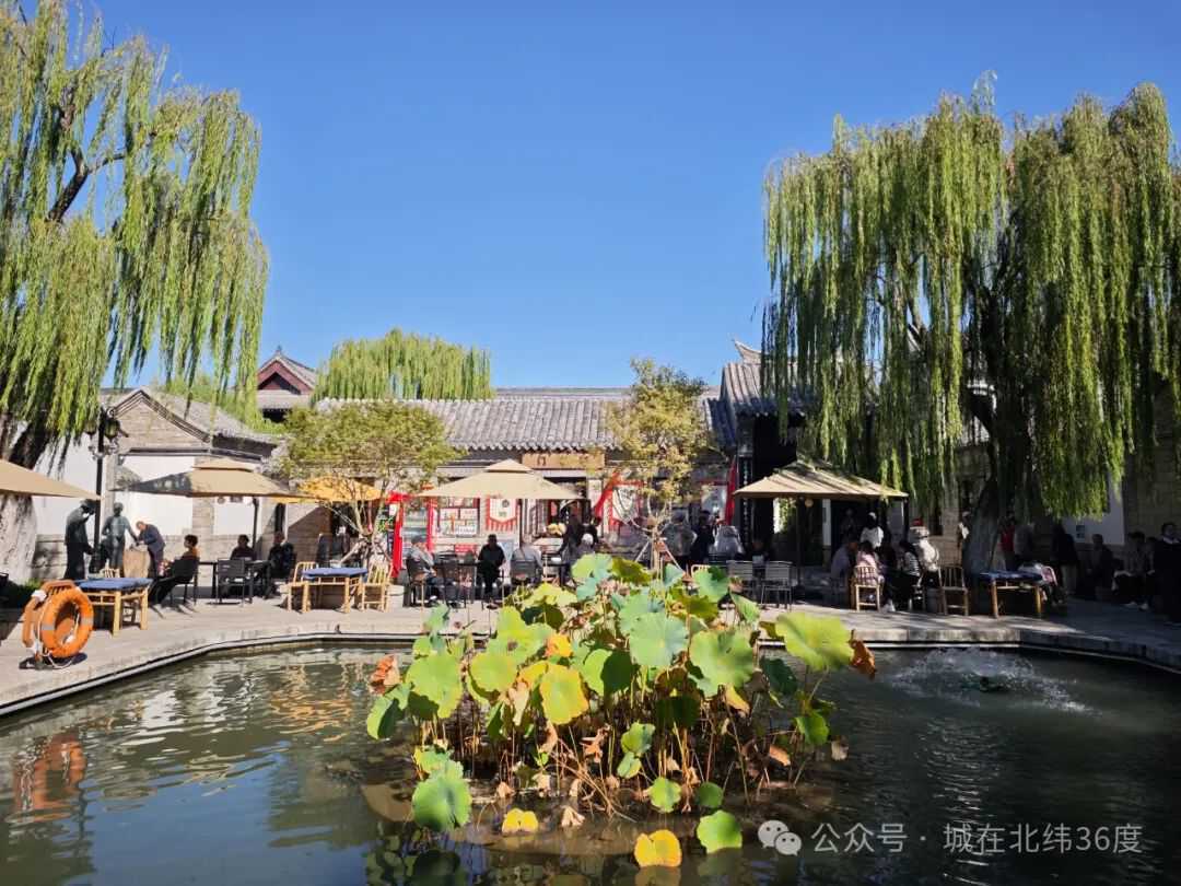 “泉”在济南享金秋｜济南明府城“上新”，遇见多重惊喜……