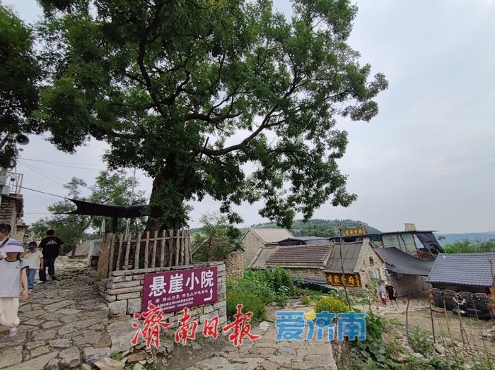 一年四季 泉在济南丨悬崖古村逯家岭 云端之上的诗意乡村