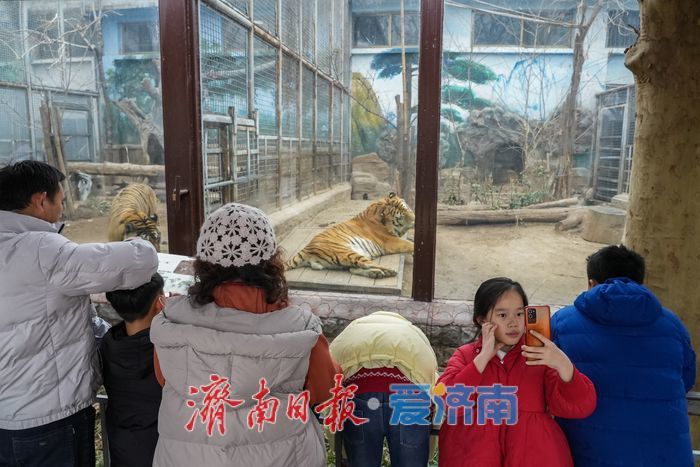 抓住假期的尾巴，寓教于乐欢度寒假