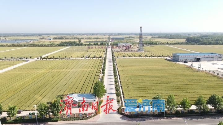 一个制种大县、两家“国字号”基地、176家持证企业——济南种业，破芯而出