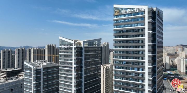 市中区以赛为媒，奋力书写产才融合新答卷