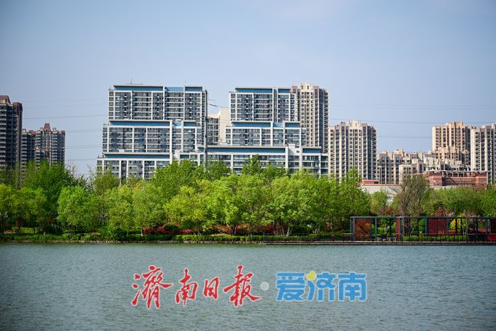 一年四季 泉在济南｜春日暖阳映湖畔 云锦湖尽展盎然生机