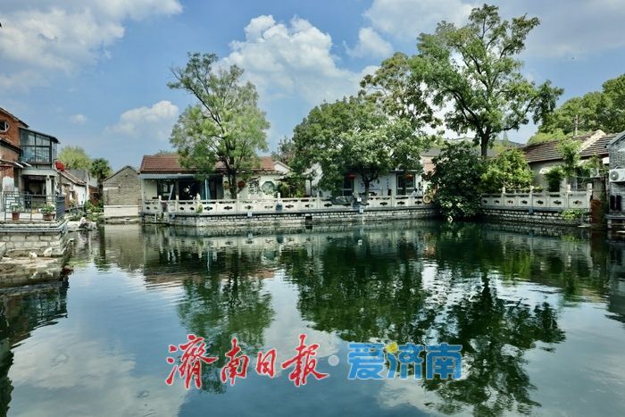 一年四季 泉在济南丨天光云影入泉来 王府池子展神韵