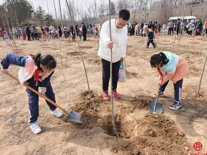 植绿·护绿——济南市经十一路小学四（7）中队开展实践活动