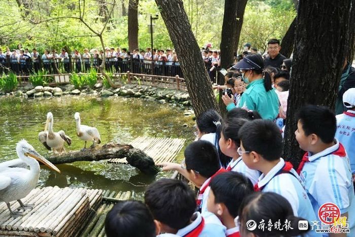 探秘自然王国，济野研学热潮持续升温