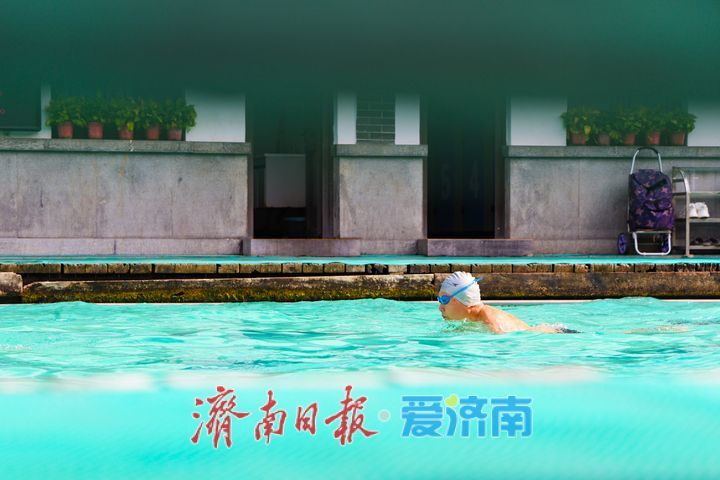 一年四季 泉在济南丨清波映秋 泳者如常