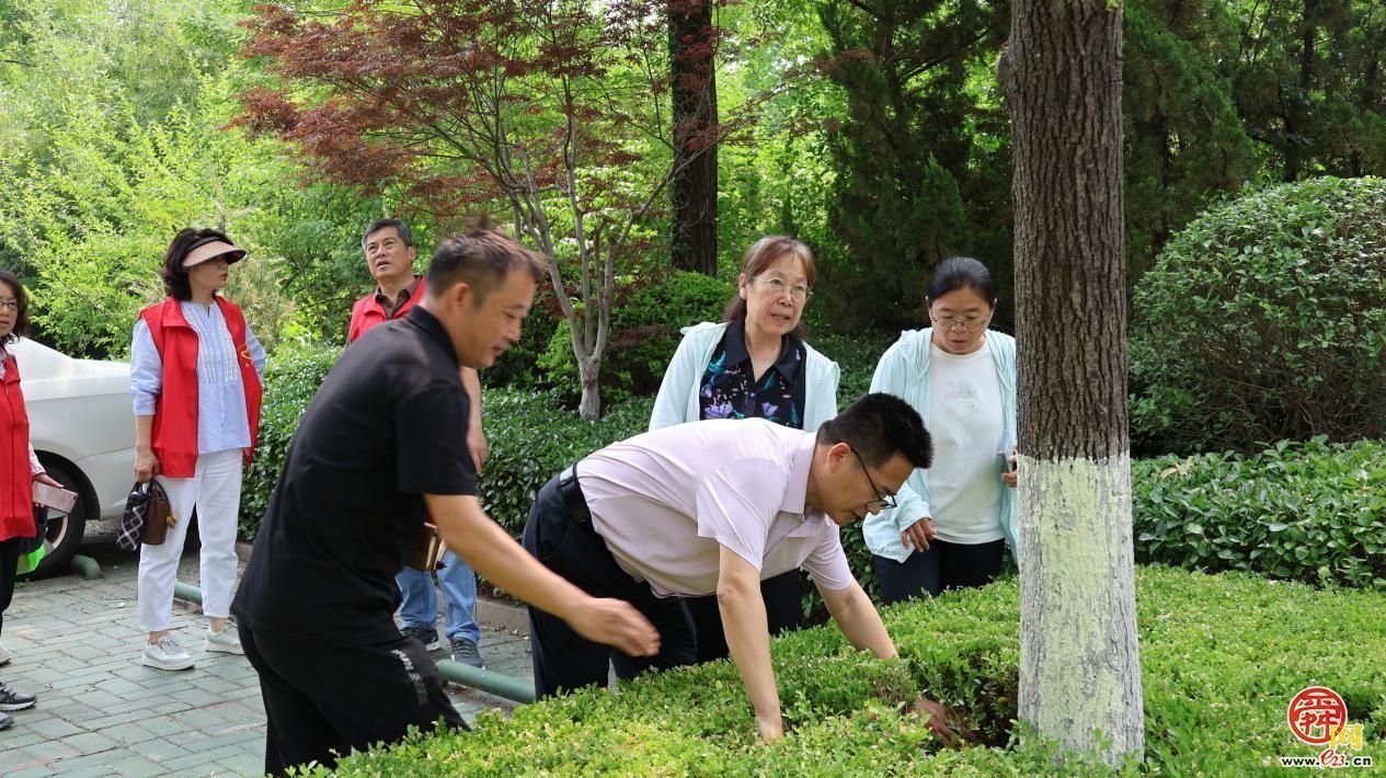 护“绿”前行 技能“充电”——济南园·林惠民行开展园林绿化科普进企业主题活动