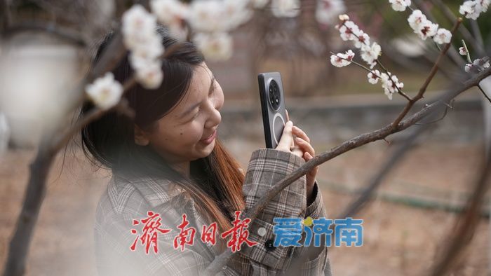 济南泉城公园“梅杏争春”醉游人