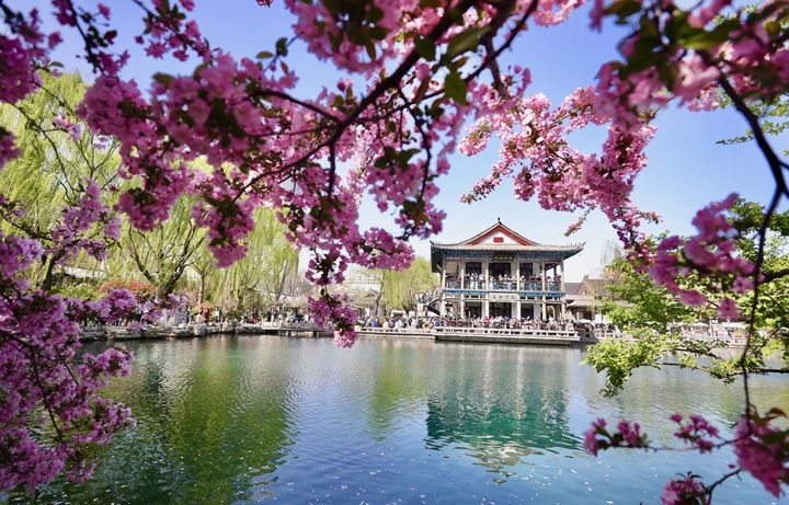 周末畅游花海 享受多彩春天