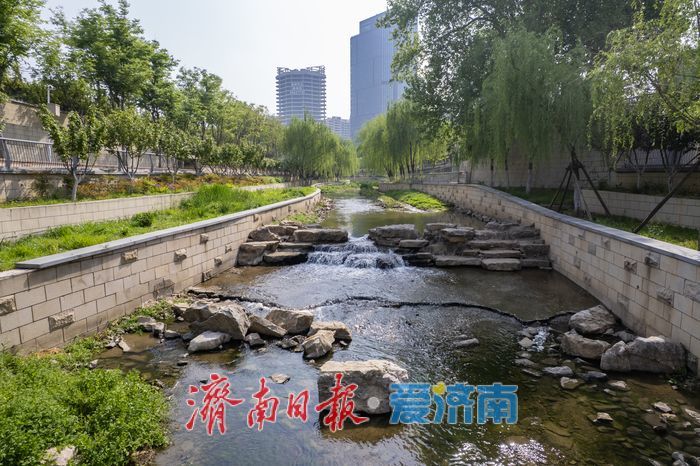 水清岸绿惠民生，全福河历下段尽显生态之美