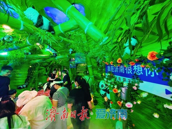 熊猫萌趣亮相芙蓉街 解锁老街打卡新玩法