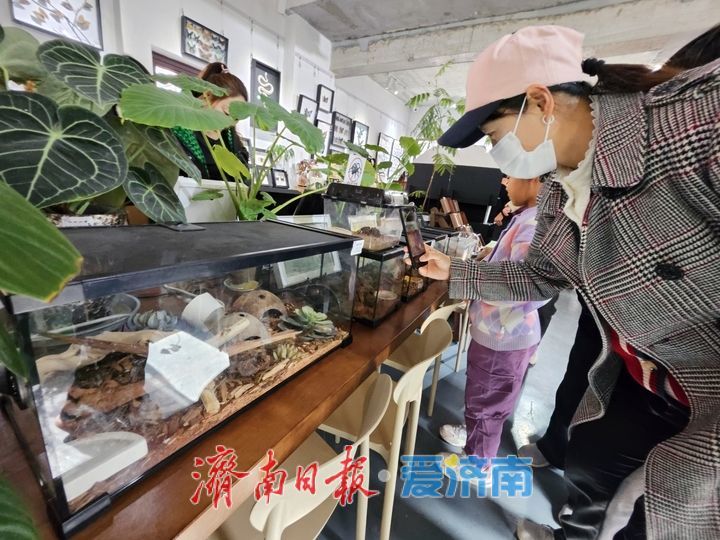 一年四季 泉在济南丨老街藏秘境 潮趣引客来