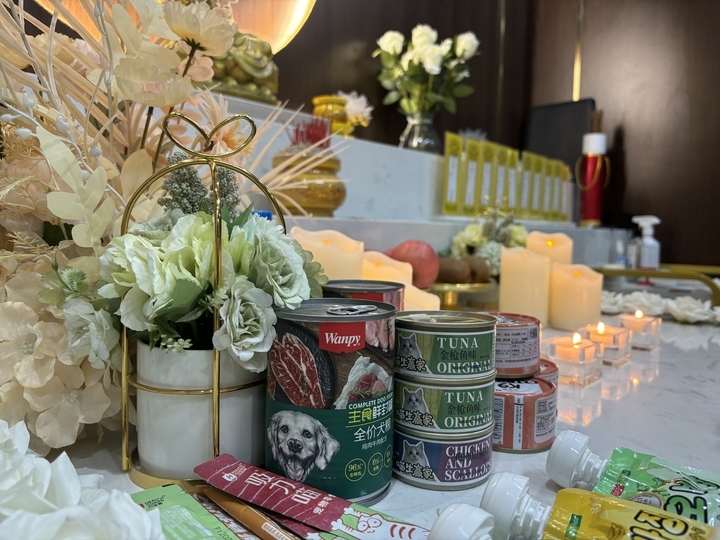 三位济南姑娘转行“宠物殡葬师” 为上千只宠物举行告别仪式