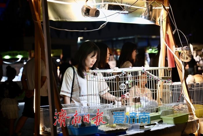 泉城夜色添烟火！印象济南露天市集打造夜生活新场景