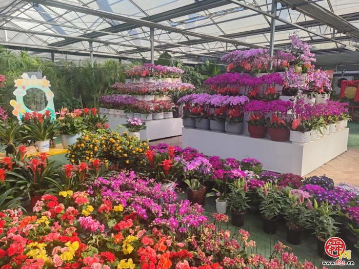 济南：坐着地铁逛公园，最新攻略来啦！地铁直达！