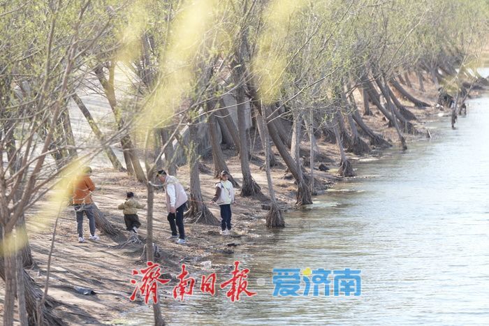 春满泉城绿意浓 玉符河畔踏青忙