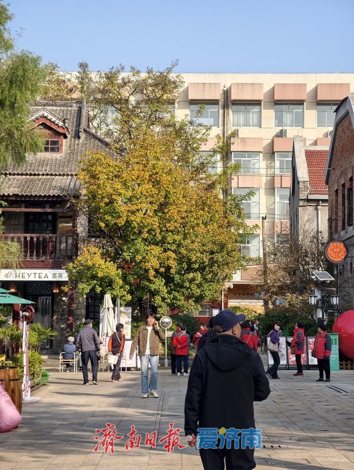 一年四季 泉在济南丨老商埠的冬日“限定款”！光影交织，邂逅浪漫美学秘境