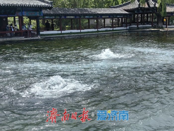 平台数据显示：“五一”首日热门餐饮堂食订单量增长73％