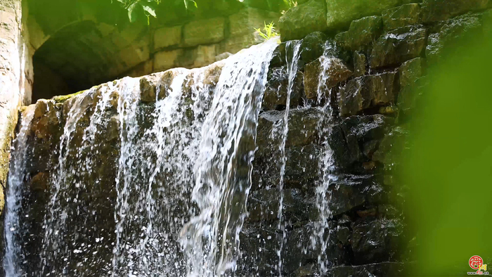 以诗词为脉 绘泉城水网世纪画卷