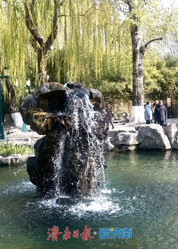 水位稳定！济南五龙潭“月牙泉”冬日持续喷涌