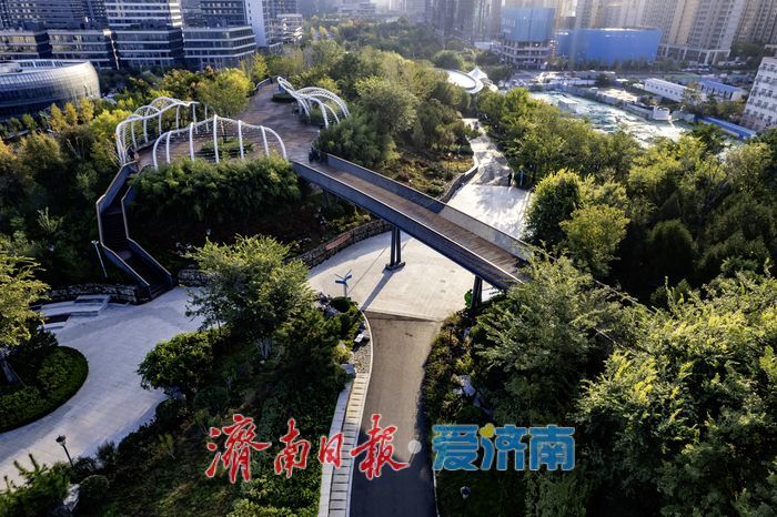 秋色斑斓，活力盎然