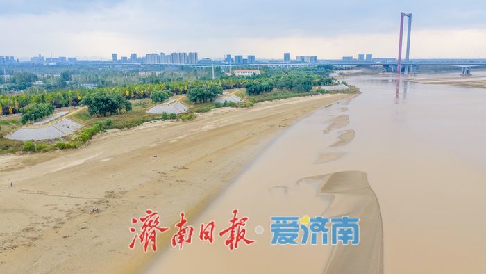 凶险！济南黄河岸边水位回落，别把滩涂当乐园