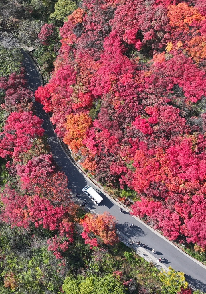 秋色绝佳观赏地红叶谷，拍照超级出片，非常值得一去