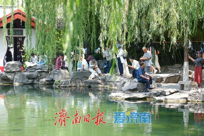 一年四季 泉在济南丨“泉如其名”，畅享无忧泉畔惬意时光