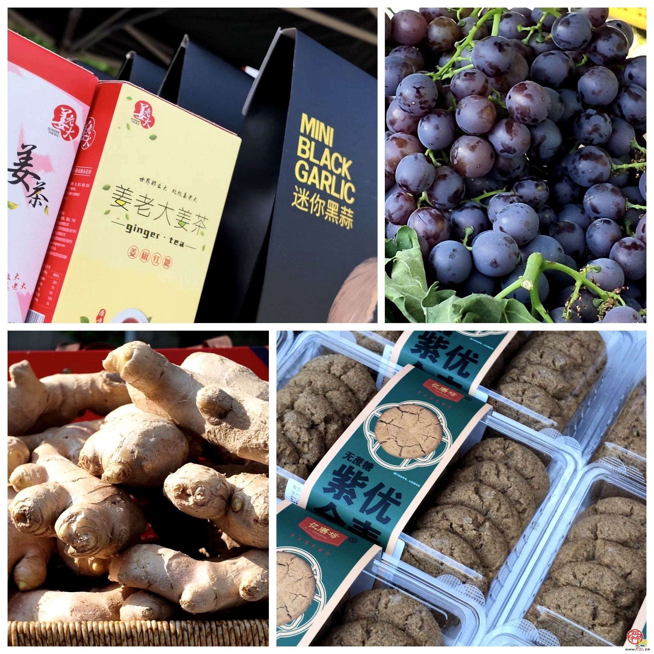 活动回顾｜从周中火到周末！泉水人家市集三场连摆，把“田间味道”直接送进社区