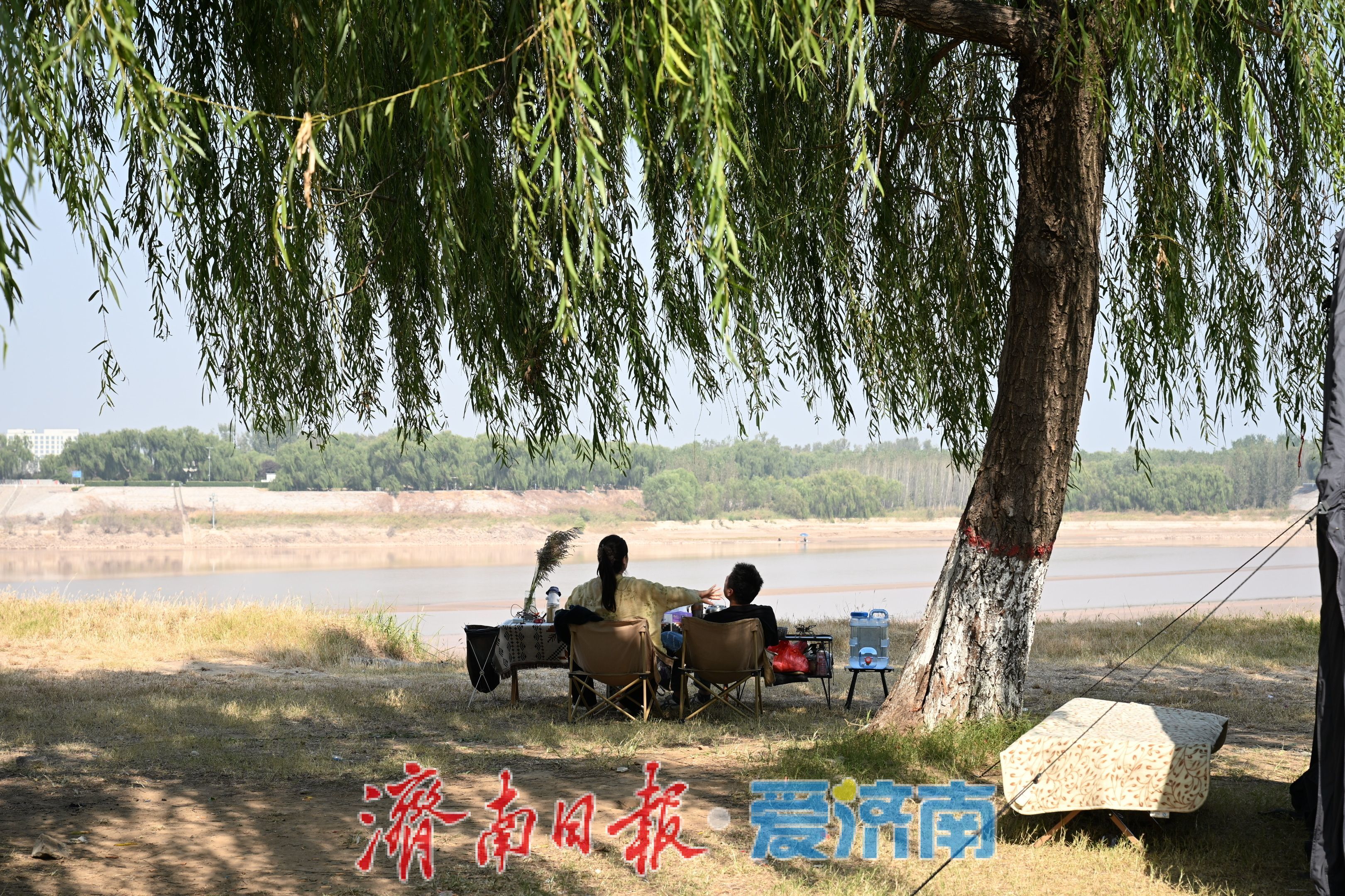 一年四季 泉在济南丨秋韵满黄河，露营引人流 黄河沿岸成休闲新地标