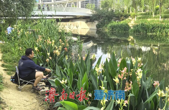 一年四季 泉在济南丨漫步、垂钓、赏景！腊山河畔邂逅初夏美好时光