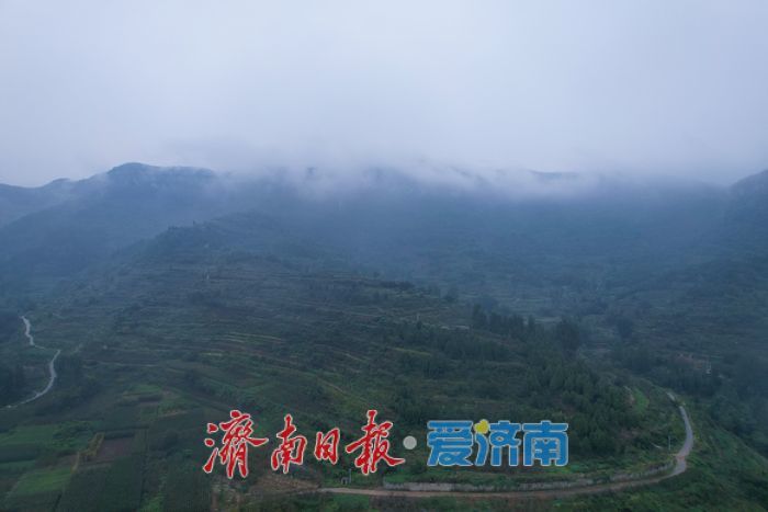 秋雨漫雪野 青山入画来