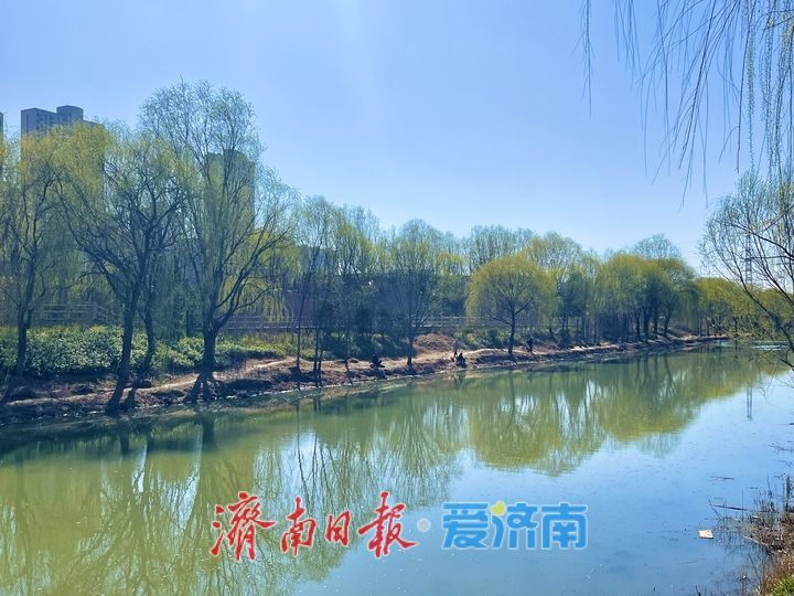 小清河春意盎然