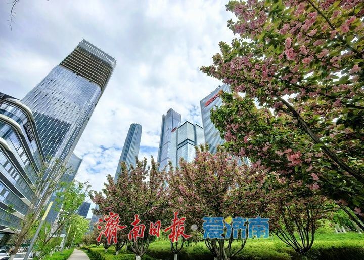 一年四季 泉在济南丨济南中央商务区绘就春日画卷