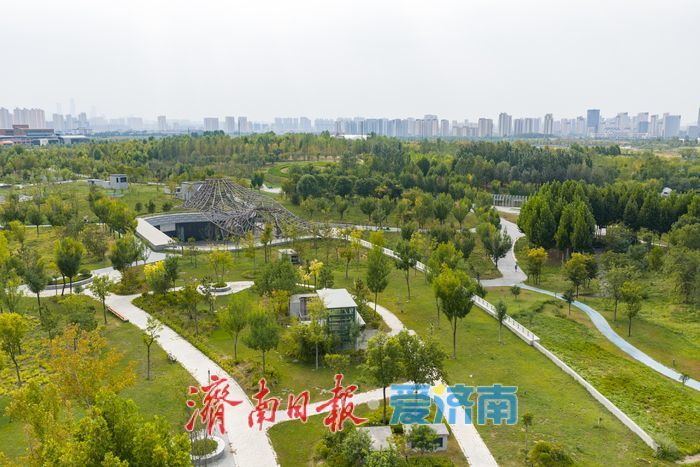 仲秋泉城绿意浓，济南中央森林公园铺展城市生态画卷