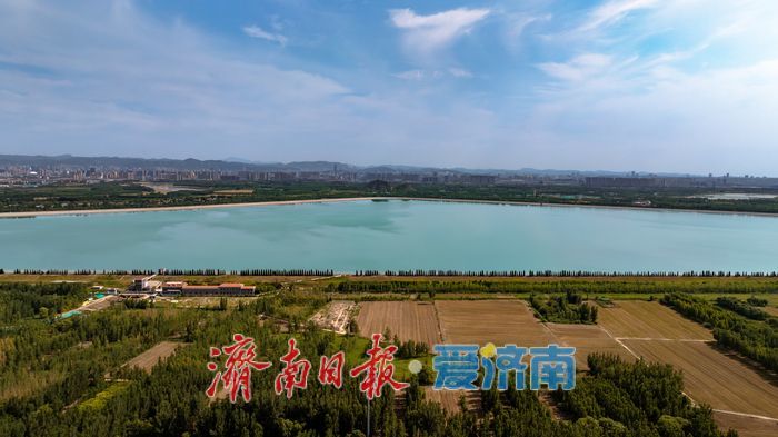 一年四季 泉在济南丨鹊山湖畔翠意浓，生态美景宛如画卷