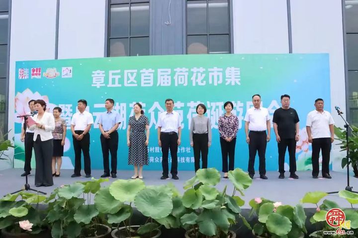 荷韵泉城·云湖有约——章丘区首届荷花市集暨荷众苑荷诞游园会盛大开启