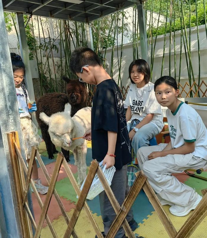 一年四季 泉在济南丨33.8万人次！端午假期济南九大公园景区人气旺