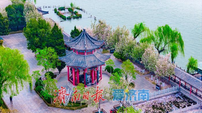 海棠盈香绕古亭 春韵满城醉明湖