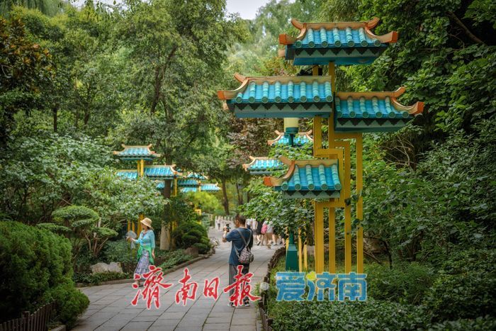 一年四季 泉在济南丨降雨过后，济南趵突泉水位上升至28.09米