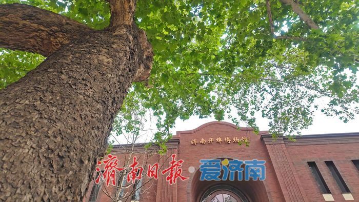 百年开埠拾光 触摸城市记忆 济南开埠博物馆新装亮相