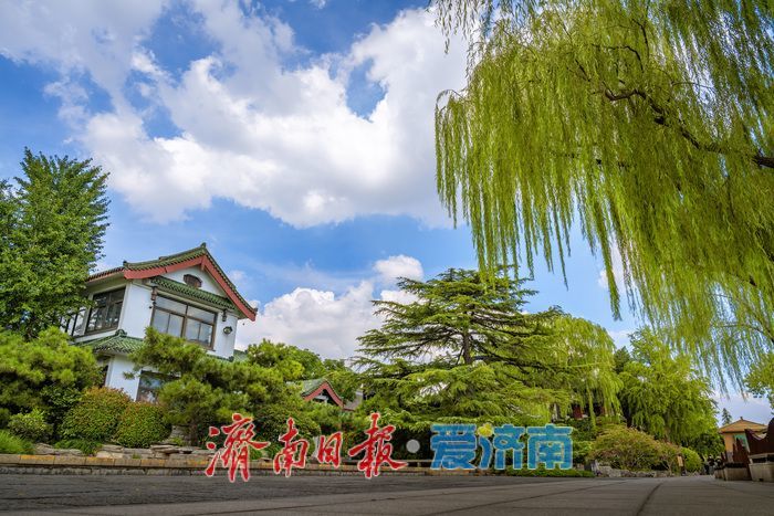 一年四季 泉在济南丨泉城消夏图鉴：大明湖成市民游客纳凉赏景“心头好”